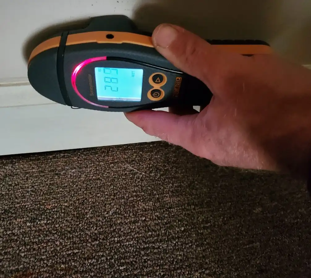 Moisture detection at baseboard during Burst Pipe Cleanup in Mendon